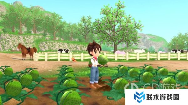 《牧场物语》巧克力怎么获得