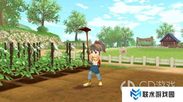 《牧场物语中秋满月》新手入门攻略