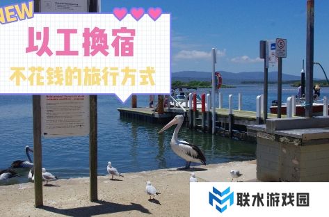 网络用语换宿旅行是什么梗