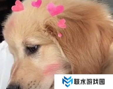 网络用语今天吃了一碗特别的面是什么梗