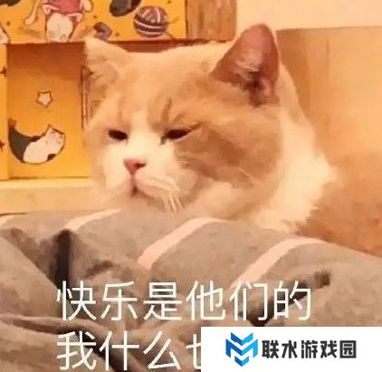 网络用语方差形选手是什么梗