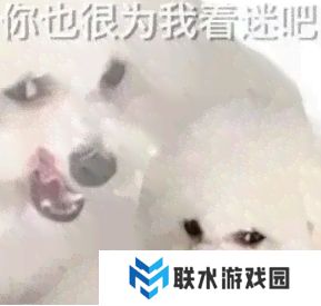 网络用语恁应该也很为俺啄米吧是什么梗