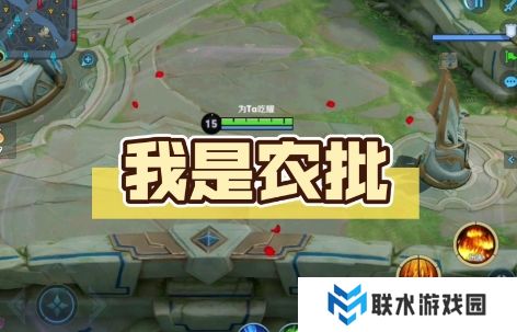 网络用语农批原批粥批三分天下是什么梗