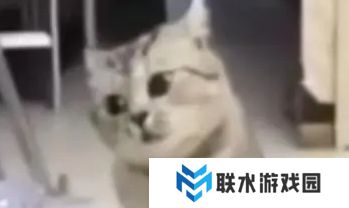 网络用语夹子变嘎子是什么梗