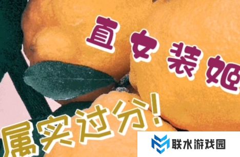 网络用语直女装姬是什么梗