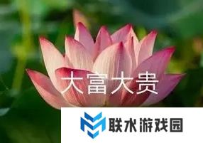 网络用语花开富贵是什么梗