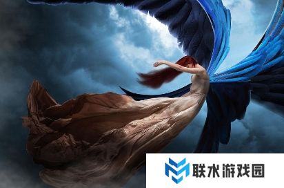 网络用语折翼的天使是什么梗