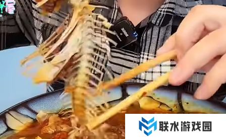 网络用语速食主义者是什么梗