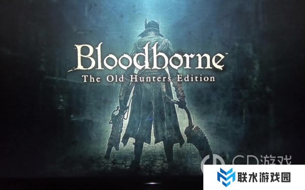 《血源诅咒》4级锯肉刀用什么宝石