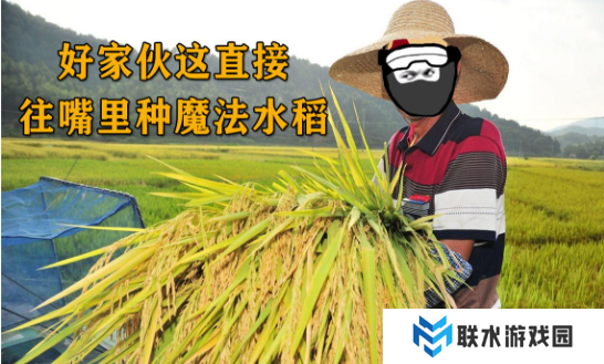 网络用语往嘴里种水稻是什么梗