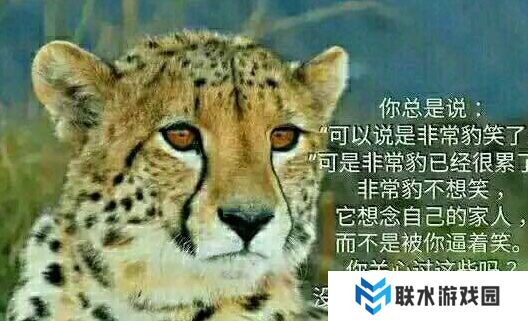 网络用语你不知道你不在乎你只关心你自己是什么梗