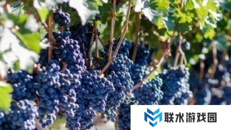 网络用语送去新疆数葡萄干是什么梗