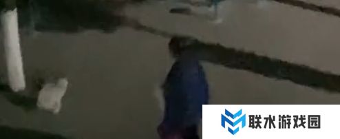 网络用语做一只有礼貌的猫是什么梗