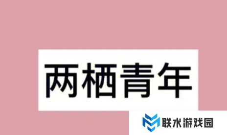 网络用语两栖青年是什么梗