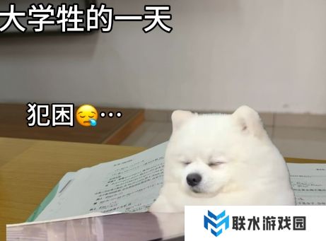 网络用语大学牲是什么梗