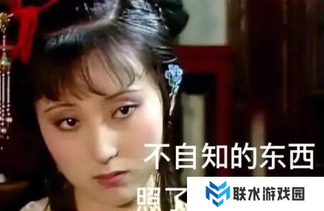 网络用语黛玉文学是什么梗