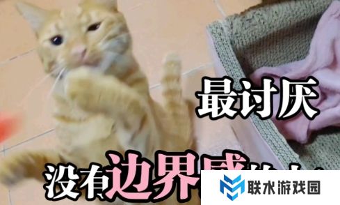 网络用语讨厌没有边界感的人是什么梗