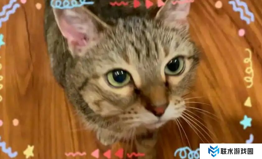 网络用语上头女是什么梗