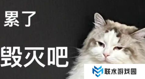 网络用语非主动颓废是什么梗