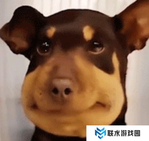 网络用语蜜蜂修勾是什么梗