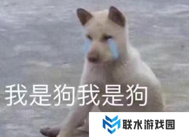 网络用语cwm小国际是什么梗