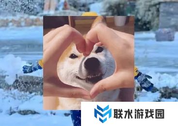 网络用语南方沙糖桔是什么梗