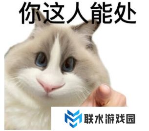 网络用语这人能处有事真上是什么梗