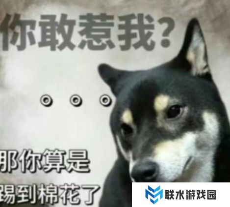 网络用语窝囊废文学是什么梗