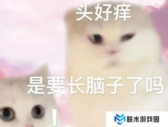 网络用语头有点痒可能在长脑子是什么梗