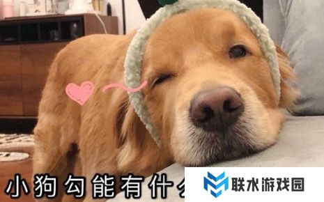 网络用语狗勾能有什么坏心思呢是什么梗