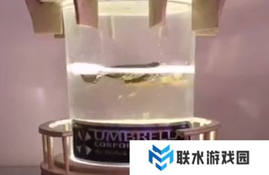 网络用语刑部侍螂是什么梗