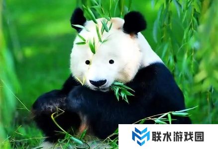 网络用语牢底坐穿兽是什么梗