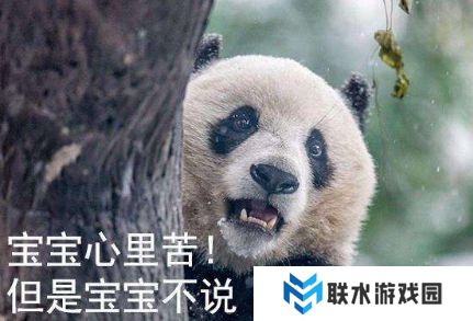 网络用语宝宝心里苦但宝宝不说是什么梗