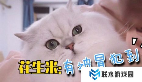 网络用语谢谢有被冒犯到是什么梗