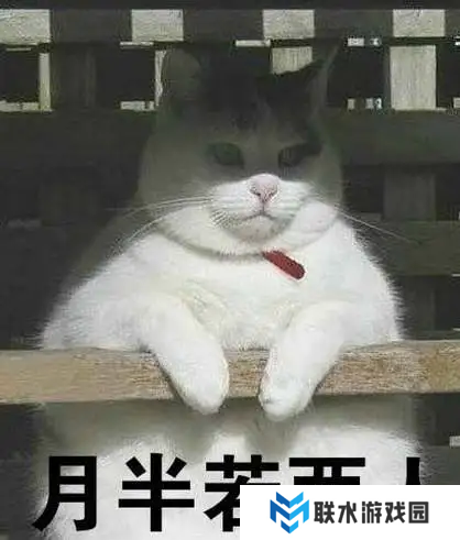 网络用语不胖警告是什么梗